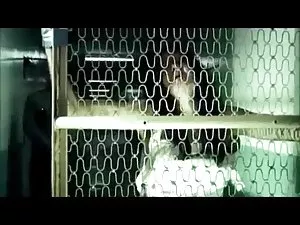 სქელი busty milf fuc ...