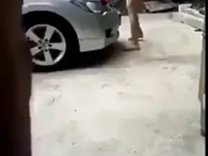 სქესობრივი კავშირი ა ...