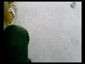 ბატკნის მამრობითი ჩე ...