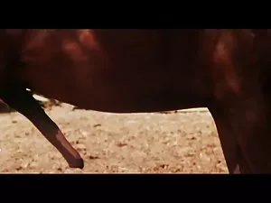 ქერა გოგონა ვინტაჟი  ...